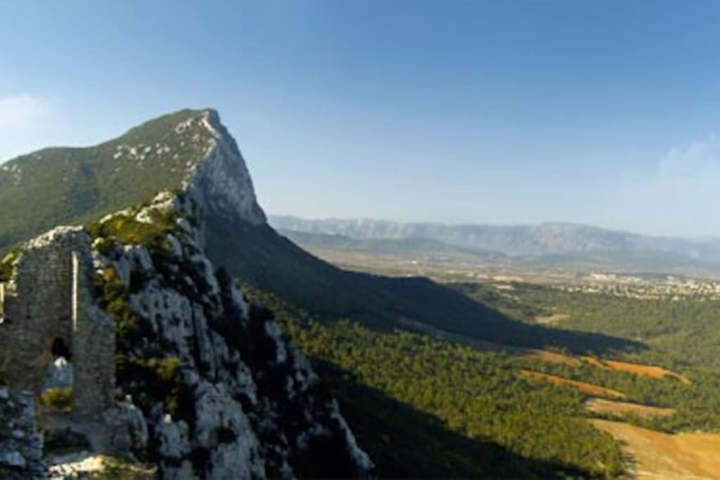 Gite Du Pic Saint Loup Valflaunes Exterior foto